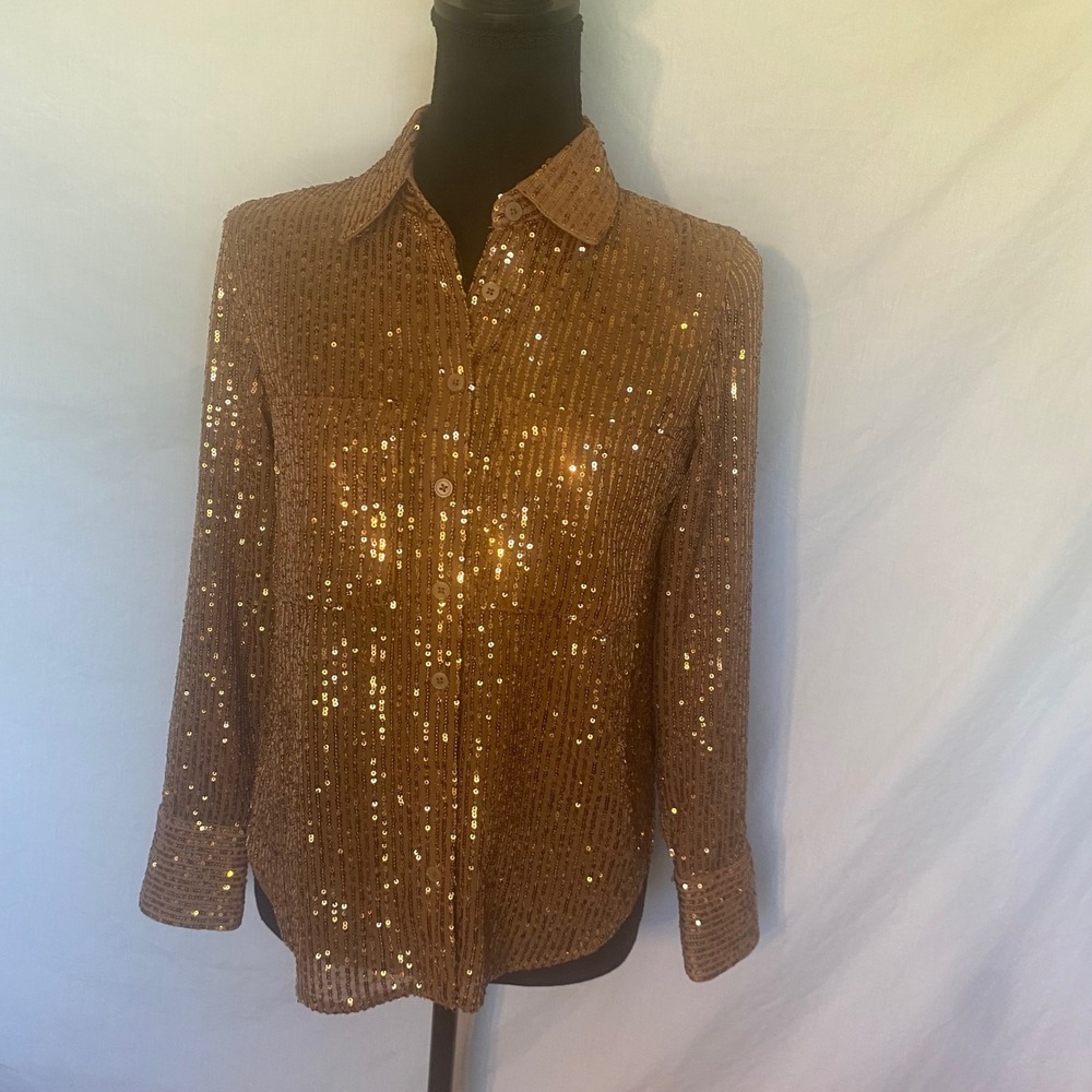 Anthropologie Sequin Button Down Shirt Copper Bronze Stripe Blouse Petite SP